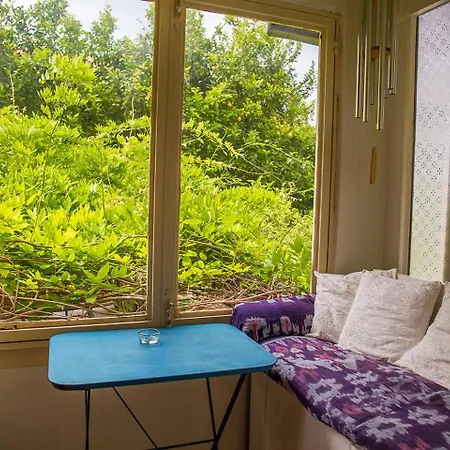 Traditional House Villa *