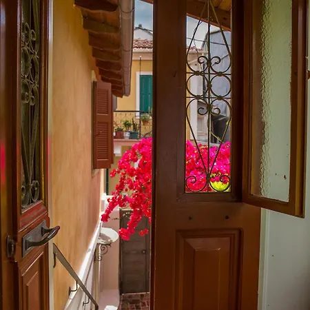 Villa Traditional House *