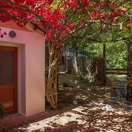 Villa Traditional House *